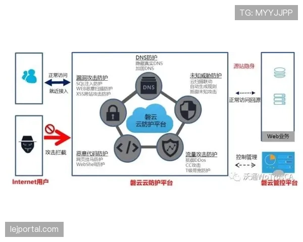 帕尔默进攻能力解析：终结效率与创造参与度的双重评估